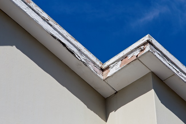 Prevent-Wood-Rot