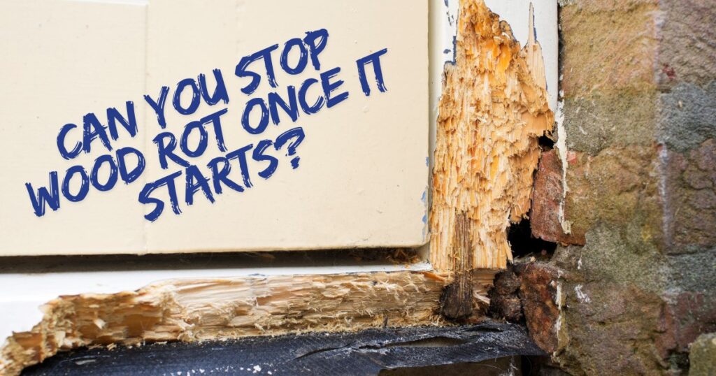 wood rot image with caption Can You Stop Wood Rot Once It Starts?