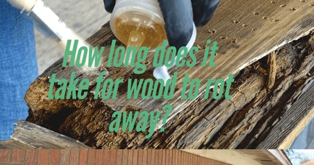 wood rot with caption How long does it take for wood to rot away