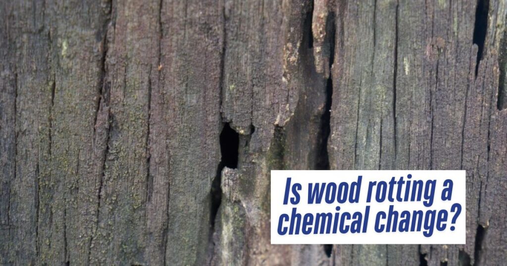 wood rot with a caption is wood rotting a chemical change?