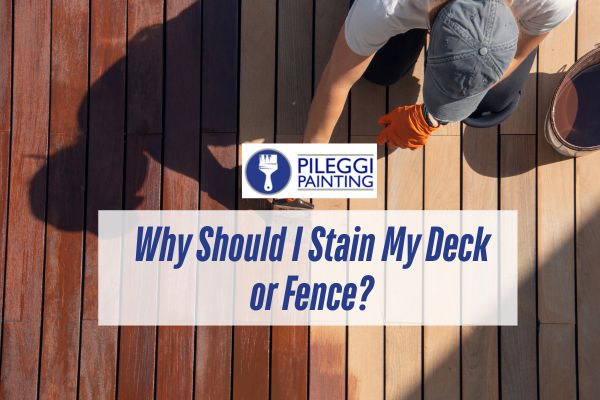 man staining a deck with a caption Why Should I Stain My Deck or Fence?